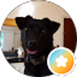 Profile photo of Vrs Nku (VUI Main)