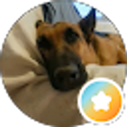 Profile photo of suezette hollinger