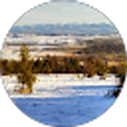 Profile photo of Justin Cook