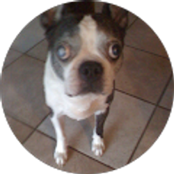 Profile photo of Nealgd