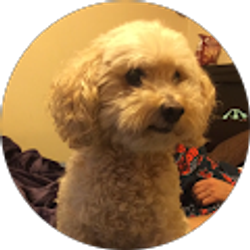 Profile photo of Edy Sanda