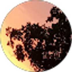 Profile photo of Carmen Bellon