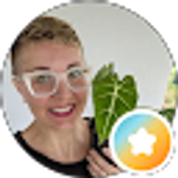Profile photo of Stacey Smith