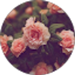Profile photo of Lexi Brook