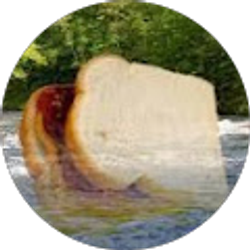 Profile photo of Aidan Wiggins