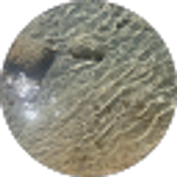 Profile photo of Clark Waltz