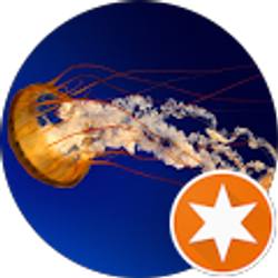 Profile photo of Wasn't Me