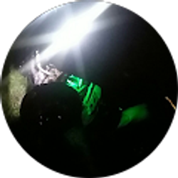 Profile photo of bluebirds garage