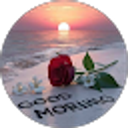 Profile photo of Raquel M