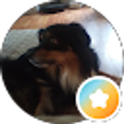 Profile photo of Brooke Johnson