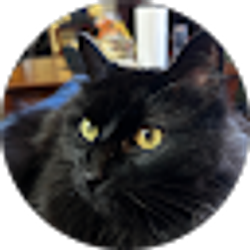 Profile photo of Daniel Falcon