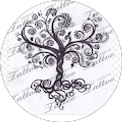 Profile photo of Jamie Gutierrez