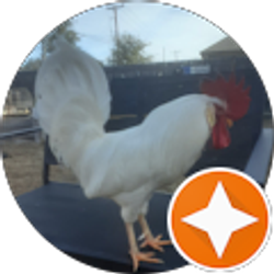 Profile photo of Mr Roo