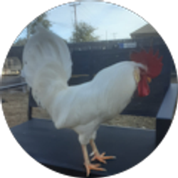 Profile photo of Trev H