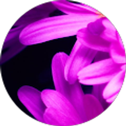 Profile photo of Roberson