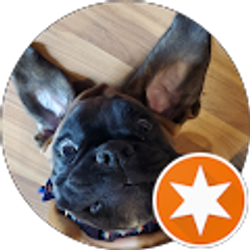 Profile photo of Sheldon Boyajean