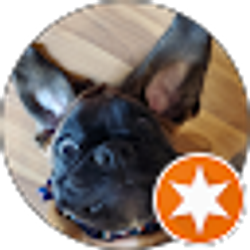 Profile photo of Sheldon Boyajean