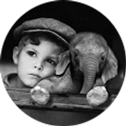 Profile photo of Wendy Steelmon