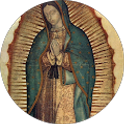 Profile photo of Janeth Vazquez