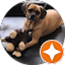 Profile photo of Allison Baluha