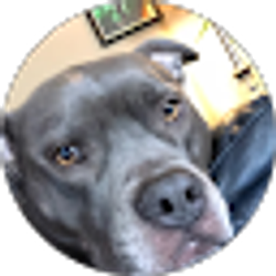 Profile photo of Chevy Floyd