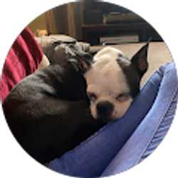 Profile photo of Brooke Krock