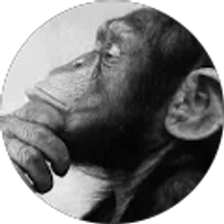 Profile photo of Silvano Villanueva