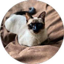 Profile photo of onemommyto2