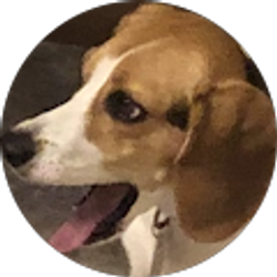 Profile photo of William F