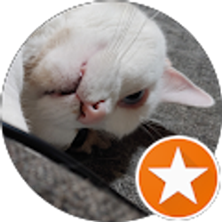 Profile photo of Char Lucero (Coffee Monster)