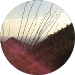 Profile photo of Mary Jayaraman