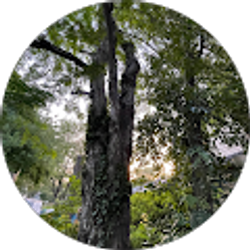 Profile photo of angelita h.