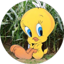 Profile photo of Ang