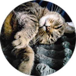 Profile photo of Russell Adams