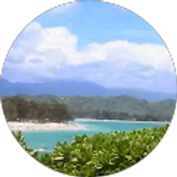 Profile photo of Jeff Dodson