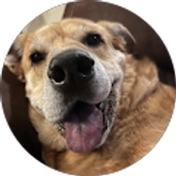 Profile photo of John Morris