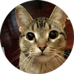 Profile photo of Ava Contreras