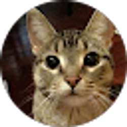 Profile photo of Ava Contreras