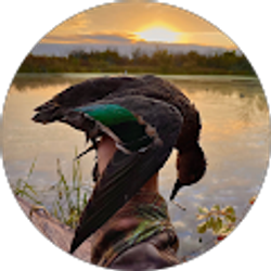 Profile photo of Jacob Ditorrice