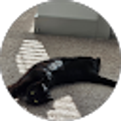 Profile photo of Donnie Roman