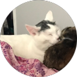 Profile photo of Emily Nolting