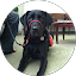 Profile photo of Terri Krake