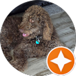 Profile photo of Tammy McKinney