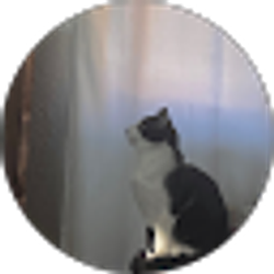 Profile photo of adyan a.