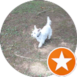 Profile photo of Sue Caylor