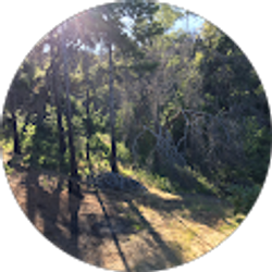 Profile photo of Michelle