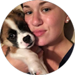 Profile photo of Alexis Motino