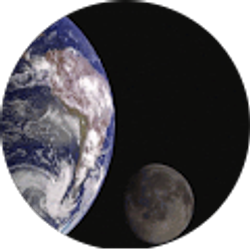 Profile photo of Cathy Smith