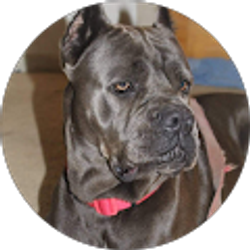 Profile photo of 101 family