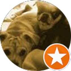 Profile photo of Tom Merriman